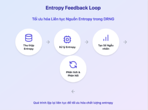 Entropy Feedback Loop